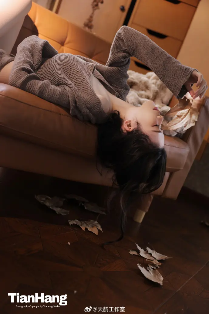 日本动画盗版数据对比图